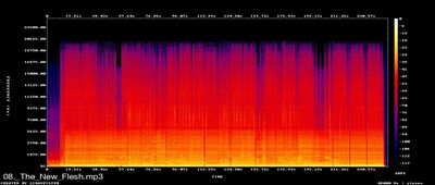 Spektra