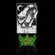 Swallow Earth