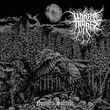 Northern Solitude