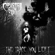 The Trace You Left