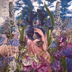 Calyces