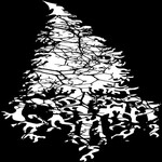 Image band