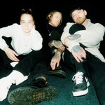 Image band
