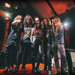 Image band