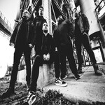 Image band