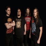 Image band