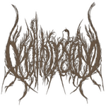 Image band