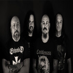 Image band