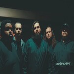 Image band