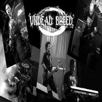 Image band