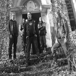 Image band