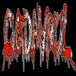 Image band