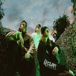 Image band