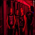 Image band