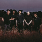 Image band